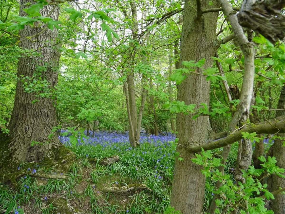 Oakwrights Daire Terling Dış mekan fotoğraf